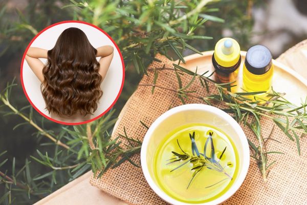 Óleo de alecrim para queda de cabelo: o que realmente funciona 2 como usar óleo de alecrim no cabelo.