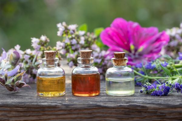 Aromaterapia: como escolher óleos essenciais para cada momento 2 Aromaterapia.