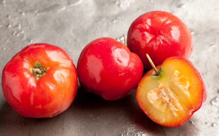 Você já sabe que a acerola é rica em vitamina C. Agora, descubra o que mais essa fruta oferece, se engorda e como consumi-la melhor 2 Benefícios da acerola