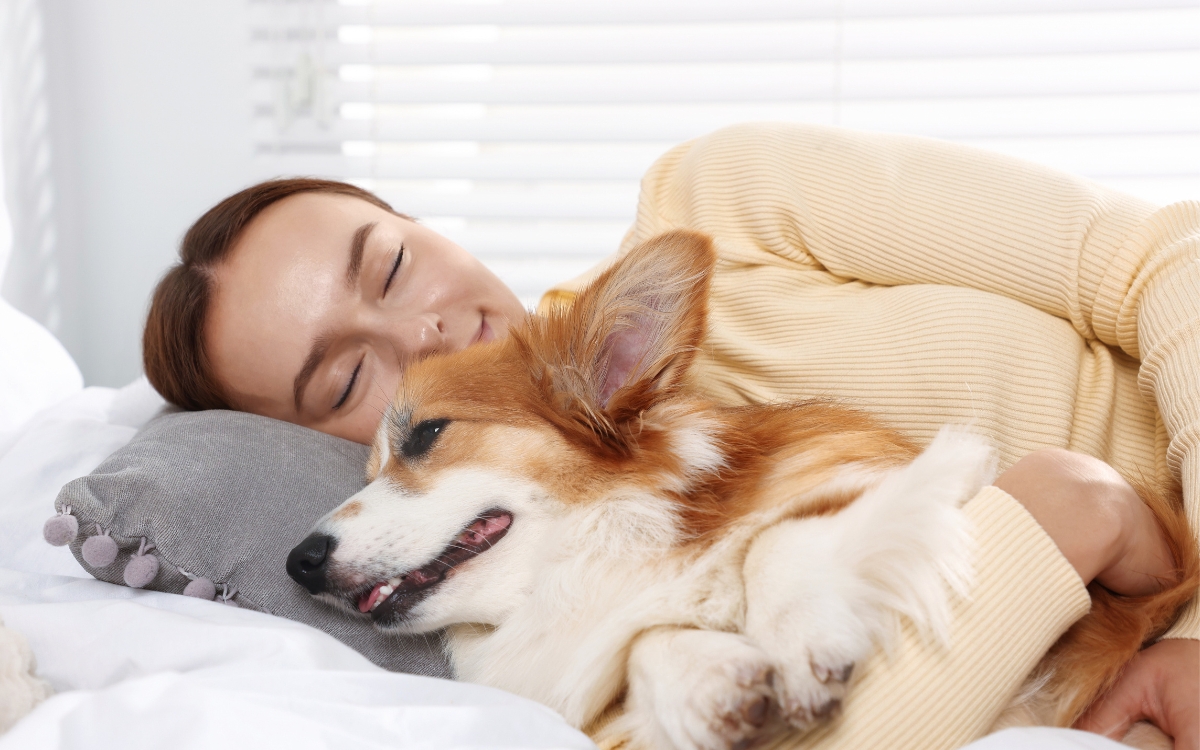 Seu cachorro divide a cama com você, mas será que dormir com ele atrapalha o sono? Estudo investigou o hábito e descobriu quem costuma se mexer primeiro durante a noite 1 Dormir com o cachorro atrapalha o sono