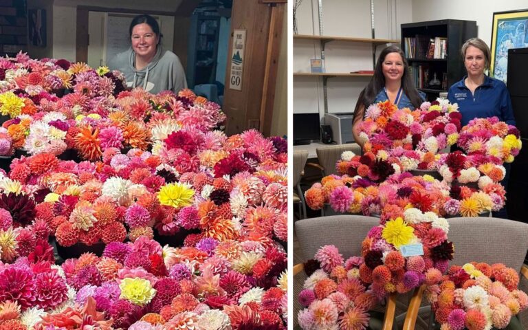 Flores para pacientes internados