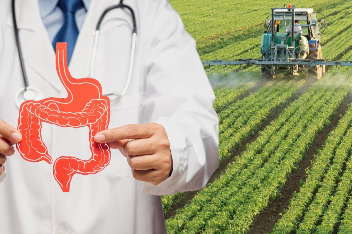 Agrotóxicos nos alimentos e seus efeitos.