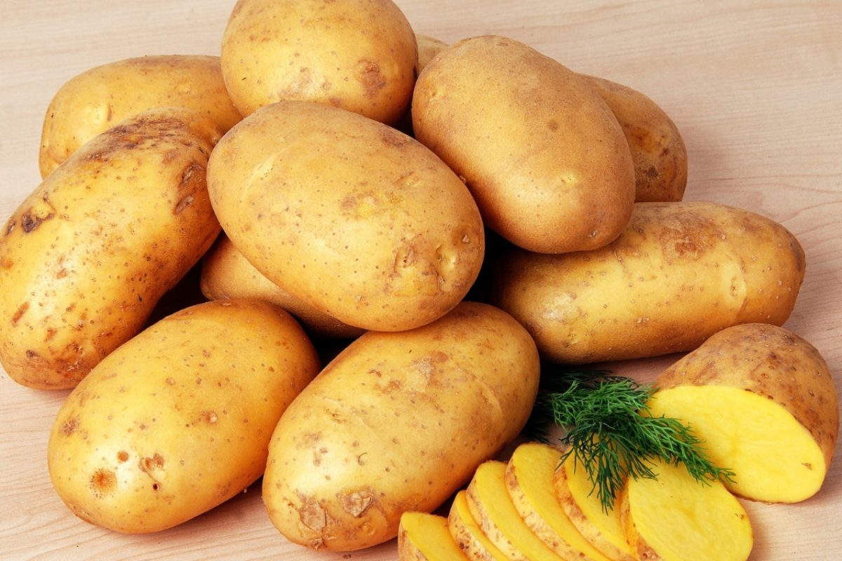 Batata se guarda na geladeira