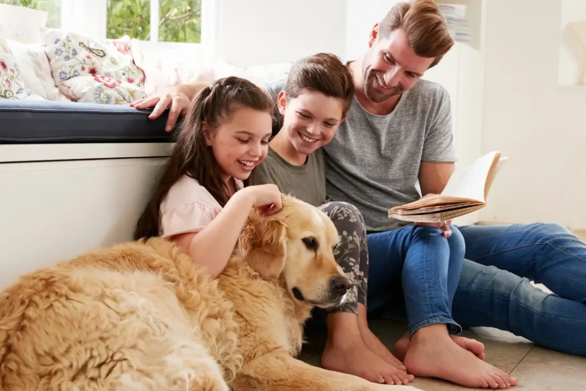 Cães para crianças