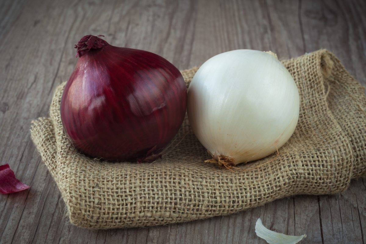 Cebola roxa ou branca