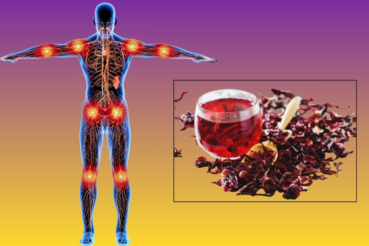 chá de hibisco para inflamação.