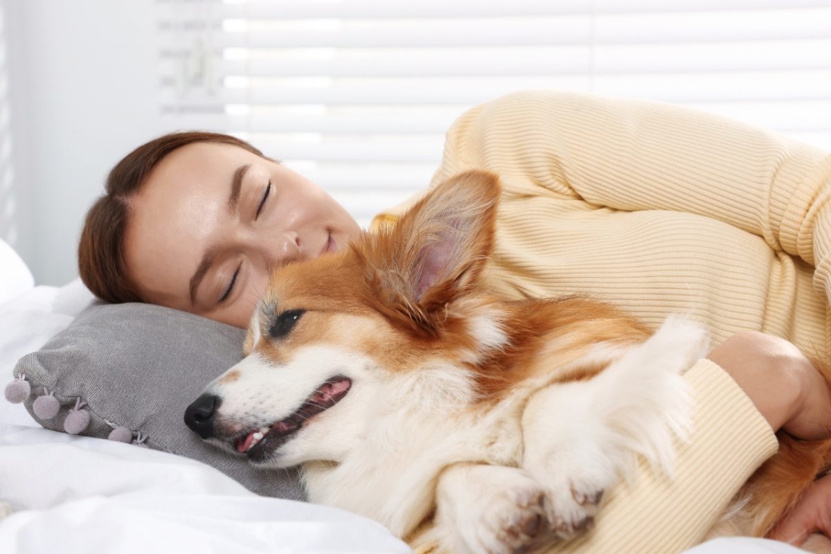 Dormir com o cachorro atrapalha o sono
