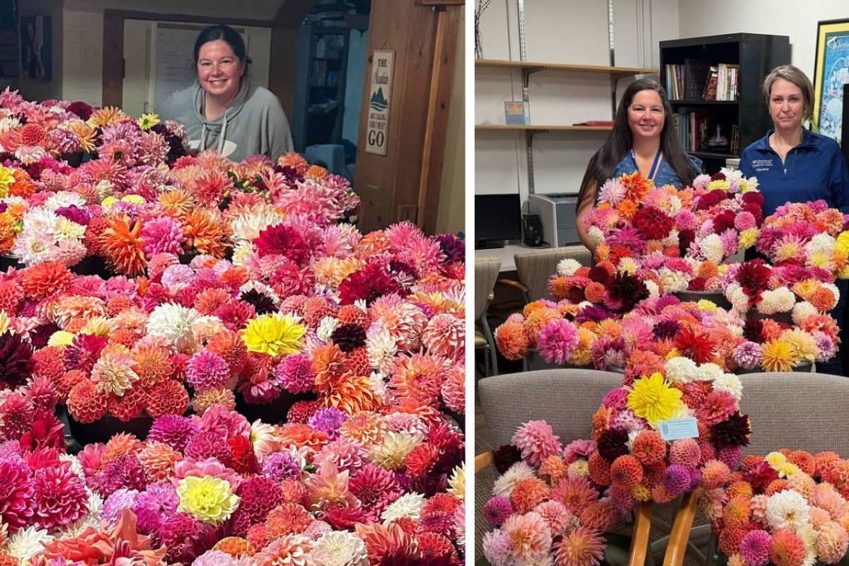 Flores para pacientes internados