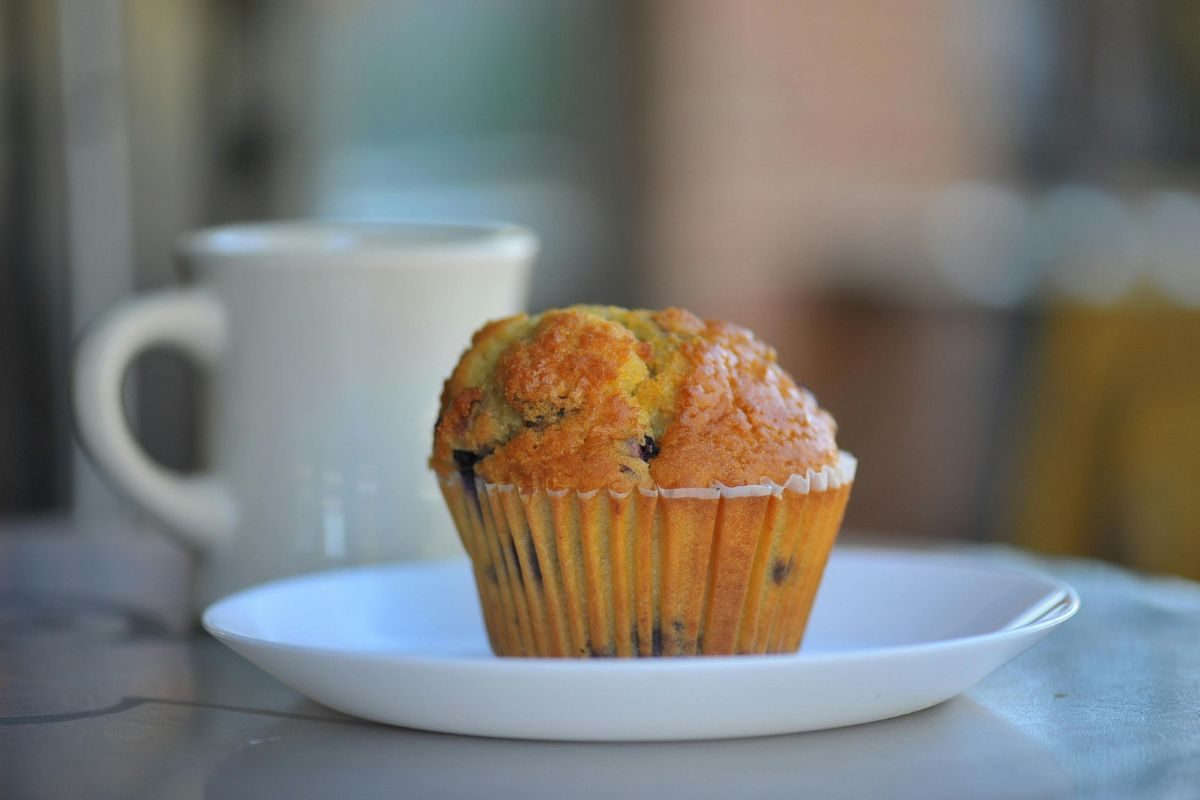 Muffin de cenoura trufado.