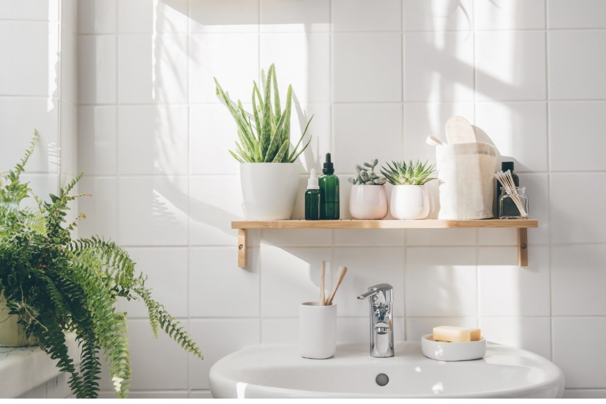 Plantas para banheiro