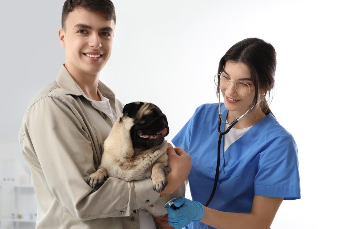 Raças de cães