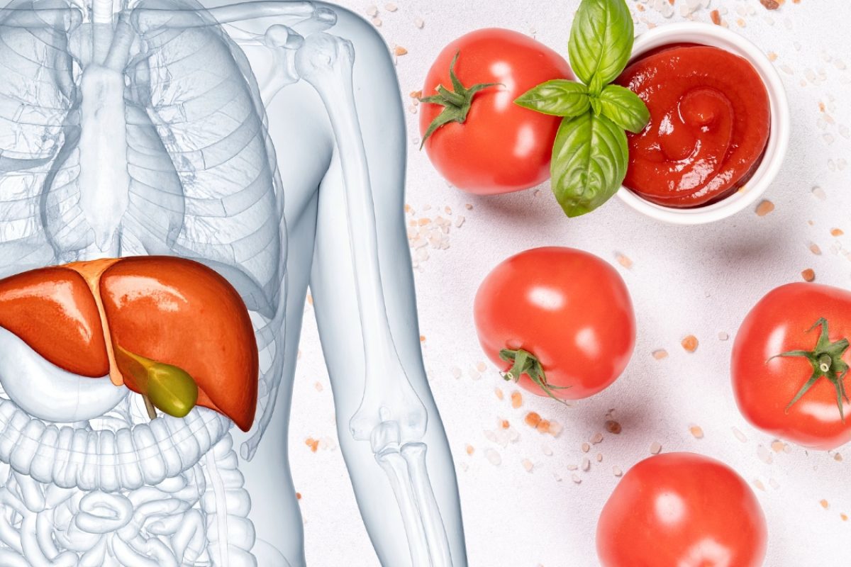 Tomate para gordura no fígado