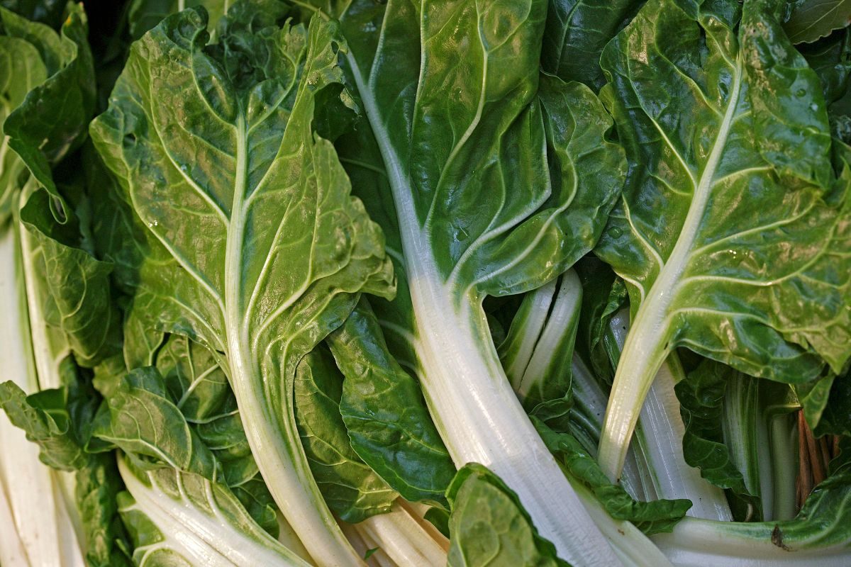 acelga faz mal para os rins.