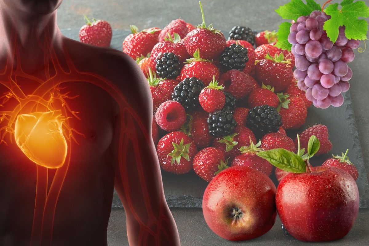 alimentos ricos em polifenóis.