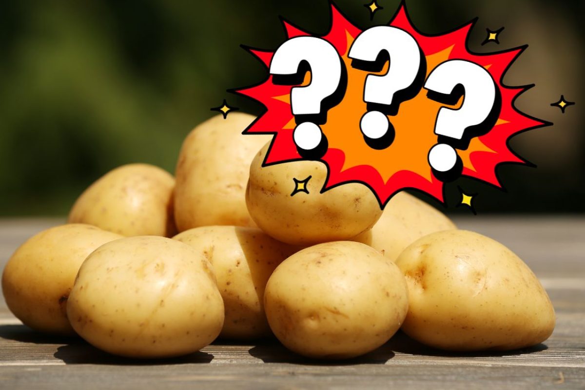 Batata é saudável.