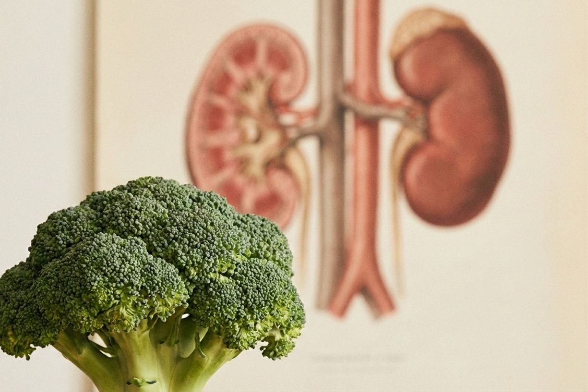 brócolis e saúde renal.