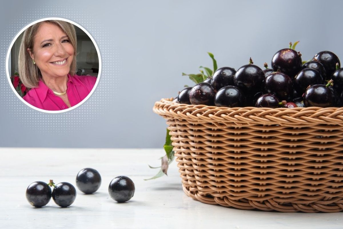 casca da jabuticaba.