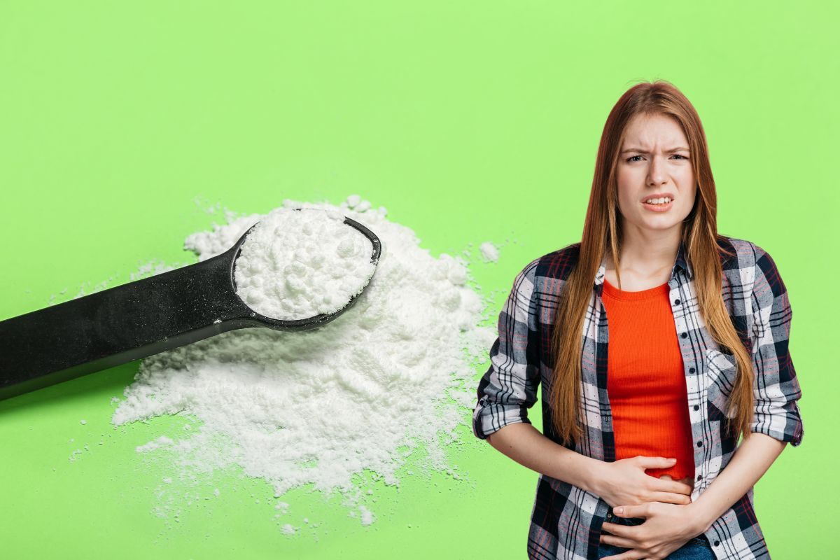 creatina prende o intestino.