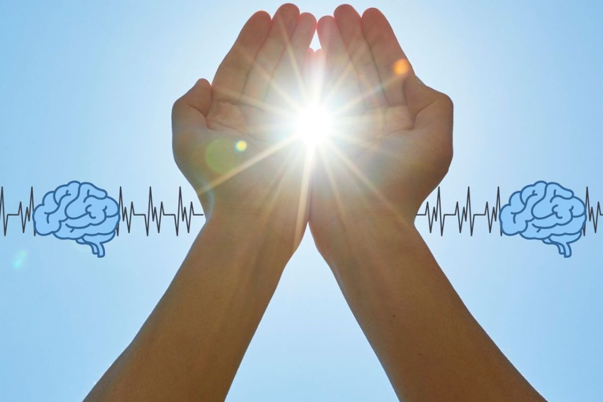 exposição à luz e função cognitiva.