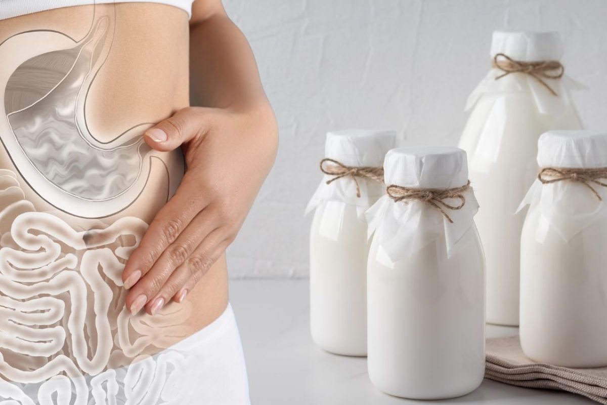 kefir e microbiota intestinal.