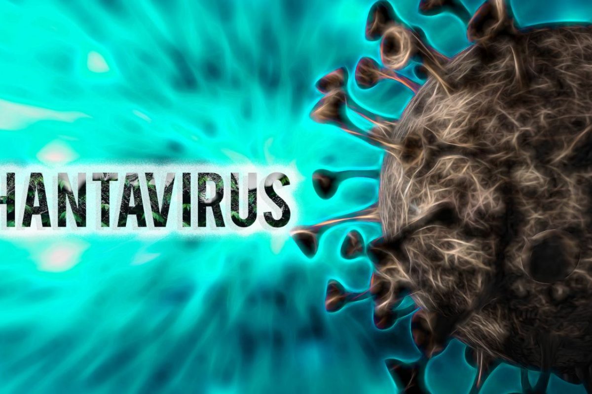 o que é hantavirose.
