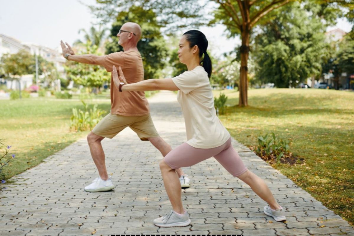 o que é o tai chi chuan.