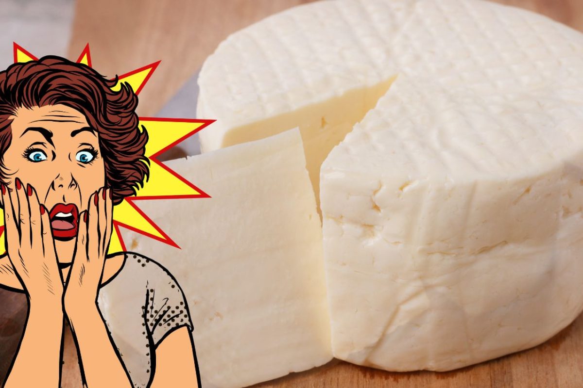 queijo e saúde do cérebro.