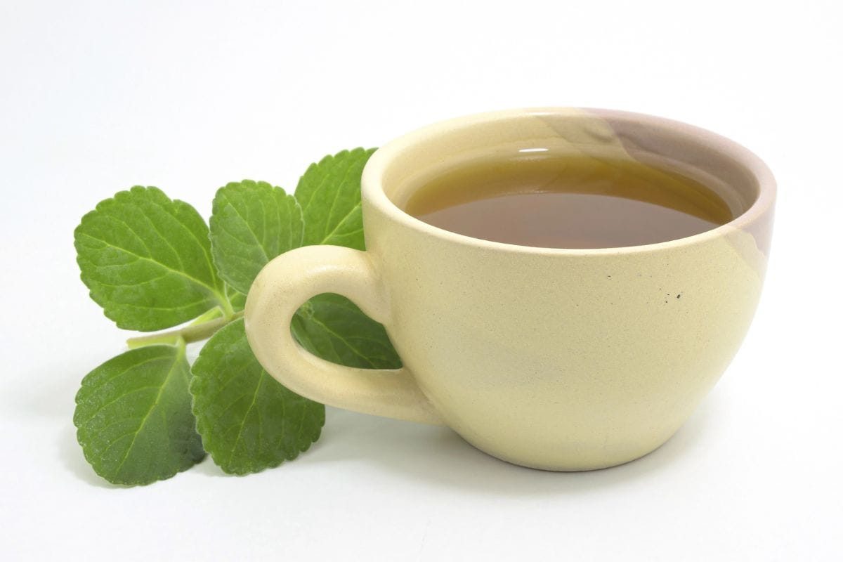 quem tem pressão alta pode tomar chá de boldo.